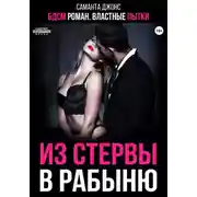 Постер книги БДСМ роман. Властные пытки. Из стервы в рабыню