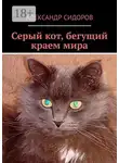 Александр Сидоров - Серый кот, бегущий краем мира