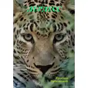 Постер книги Лердесс