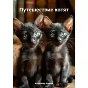 Постер книги Путешествие котят