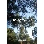 Постер книги Не Золушка