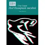 Постер книги Под Полярной звездой. Роман-шкатулка