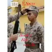 Постер книги Book-2. Hilt novella