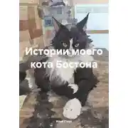 Постер книги Истории моего кота Бостона