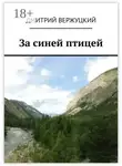 Дмитрий Вержуцкий - За синей птицей