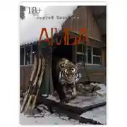 Постер книги АМБА