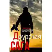 Постер книги Друзская сага