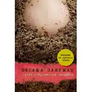 Постер книги Музей заброшенных секретов