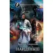 Постер книги Найденыш