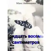 Постер книги Тридцать восемь сантиметров