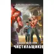 Постер книги Чистильщики