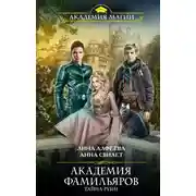 Постер книги Тайна руин