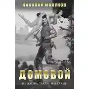 Постер книги Домовой