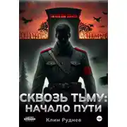 Постер книги Сквозь тьму. Начало пути