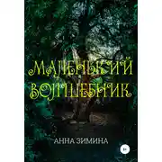 Постер книги Маленький волшебник