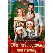 Постер книги Два (не) подарка под ёлочку
