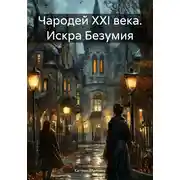 Постер книги Чародей XXI века. Искра Безумия