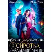 Постер книги Приворот для плохиша, или Сиротка в академии магии