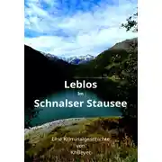 Постер книги Leblos im Schnalser Stausee