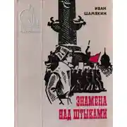 Постер книги Знамена над штыками