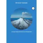 Постер книги Путешествие маленького Вулканоежки