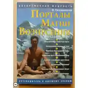 Постер книги Порталы магии вознесения