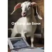 Постер книги От Бани до Бони