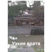 Постер книги Узкие врата