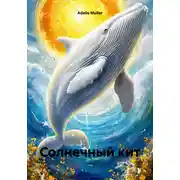 Постер книги Солнечный кит