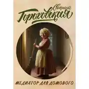 Постер книги Медиатор для домового