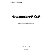 Постер книги Чудиновский бой