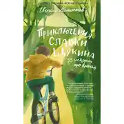 Постер книги Приключения Славки Щукина. 33 рассказа про враньё