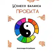 Постер книги Колесо баланса проекта