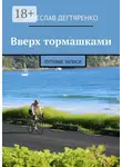 Вячеслав Дегтяренко - Вверх тормашками. Путевые записи