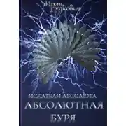 Постер книги Искатели Абсолюта. Абсолютная буря