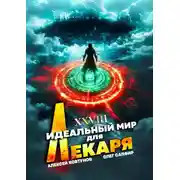 Постер книги Идеальный мир для Лекаря 28