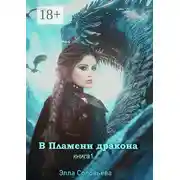Постер книги В пламени дракона. Книга 1