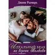 Постер книги Идеальный брак по версии Волкова