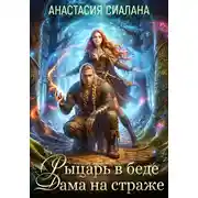 Постер книги Рыцарь в беде, Дама на страже