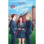 Постер книги Неидеальный спор