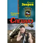 Постер книги Стальные стрелы