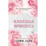 Постер книги Пленённая принцесса