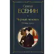 Постер книги Черный человек. Поэмы, проза