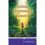Постер книги Тайны утерянных камней