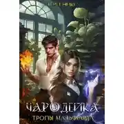 Постер книги Чародейка