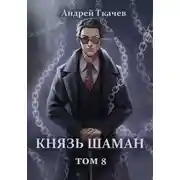 Постер книги Князь шаман. Том 8