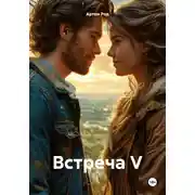 Постер книги Встреча V