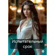 Постер книги Испытательный срок