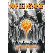 Постер книги Мир без изъянов