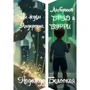 Постер книги Мы ждём Андерсена/ Лабиринт БРЭД &amp; БЭРРИ